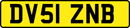 DV51ZNB