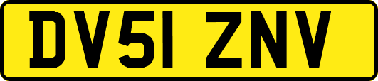 DV51ZNV