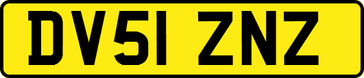 DV51ZNZ
