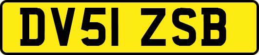 DV51ZSB