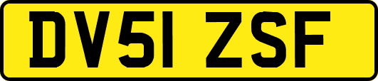 DV51ZSF