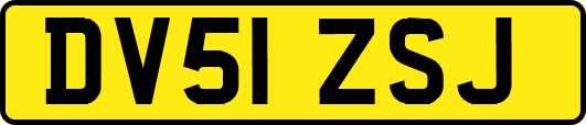 DV51ZSJ
