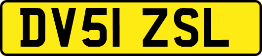 DV51ZSL