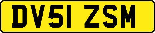 DV51ZSM