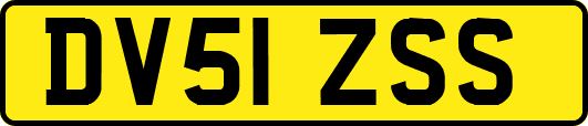 DV51ZSS