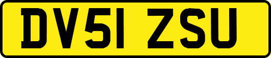 DV51ZSU