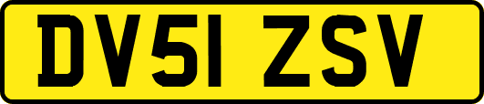 DV51ZSV