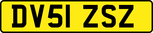 DV51ZSZ