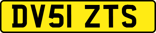 DV51ZTS