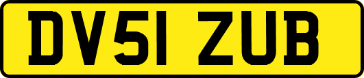 DV51ZUB