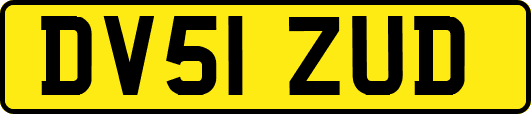 DV51ZUD