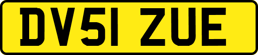 DV51ZUE