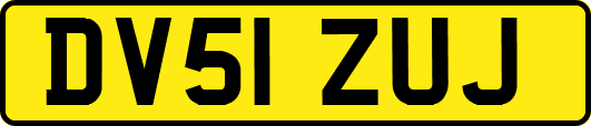 DV51ZUJ