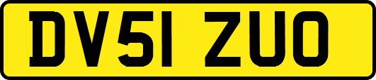 DV51ZUO