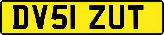 DV51ZUT