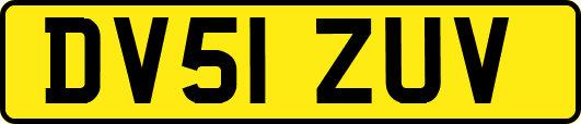 DV51ZUV