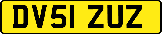 DV51ZUZ