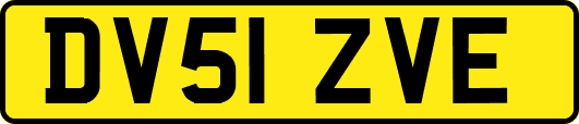DV51ZVE