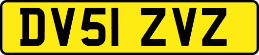 DV51ZVZ