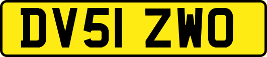 DV51ZWO