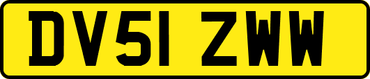DV51ZWW