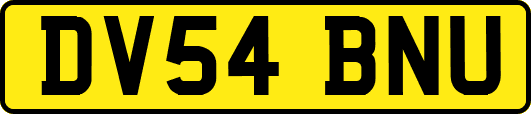 DV54BNU
