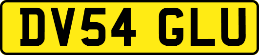 DV54GLU