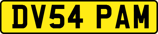DV54PAM