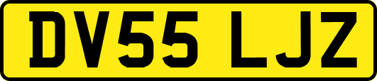 DV55LJZ