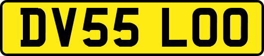 DV55LOO