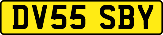 DV55SBY