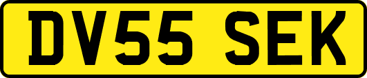 DV55SEK