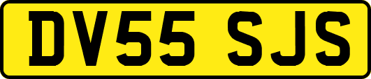 DV55SJS