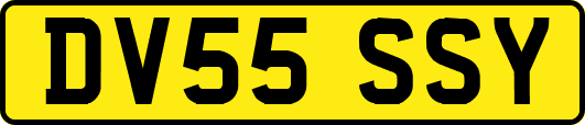 DV55SSY