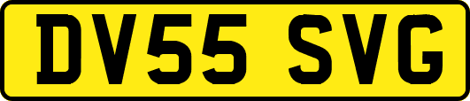 DV55SVG