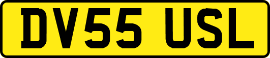 DV55USL