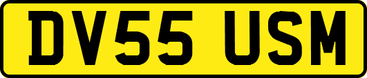 DV55USM