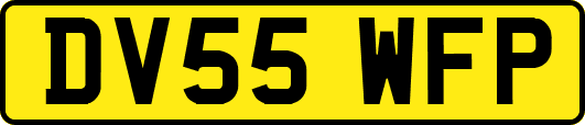 DV55WFP