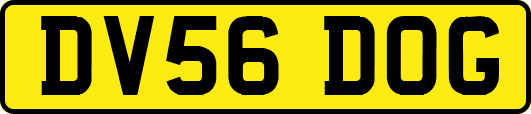 DV56DOG