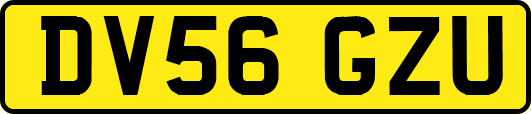 DV56GZU