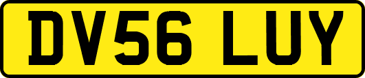 DV56LUY
