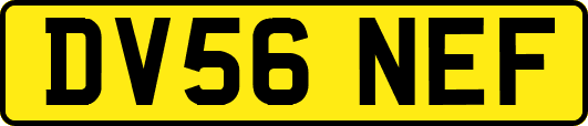 DV56NEF