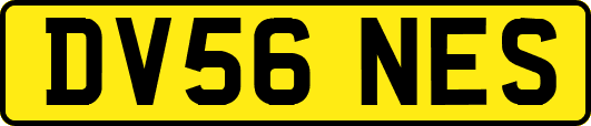 DV56NES