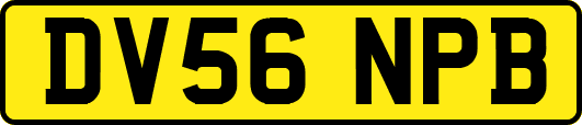 DV56NPB