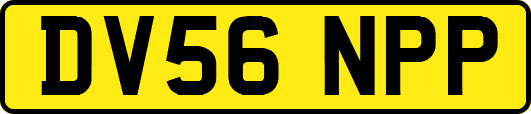 DV56NPP