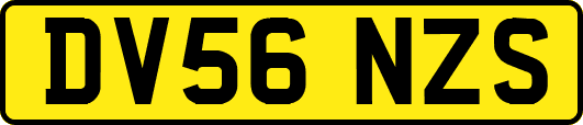 DV56NZS