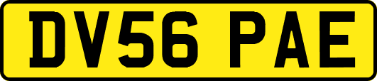 DV56PAE