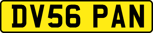 DV56PAN