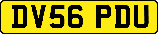 DV56PDU