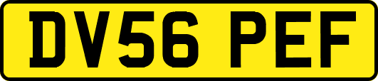 DV56PEF